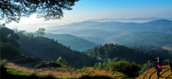 Coorg - Ooty – Bandipur National Park - Mysore Tour Package