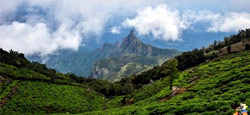 Coorg - Ooty - Mysore Tour Package