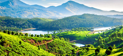 Coorg - Ooty - Munnar Tour Package